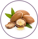 Moroccan Argan Oil